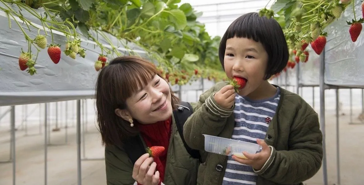 Madre e hija recogiendo fresas en un invernadero